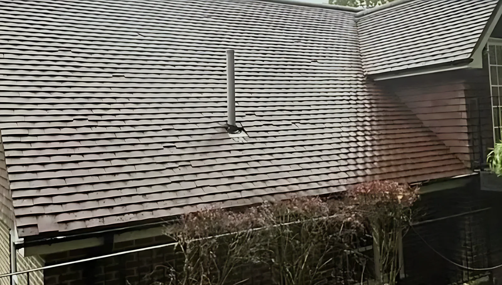 Roof after moss removal