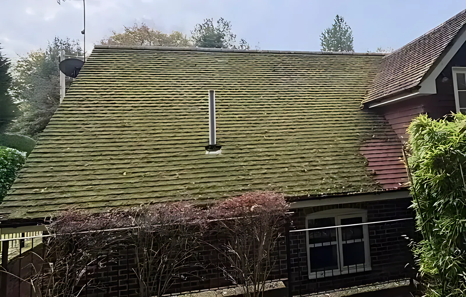 Roof and exterior cleaning in Woking