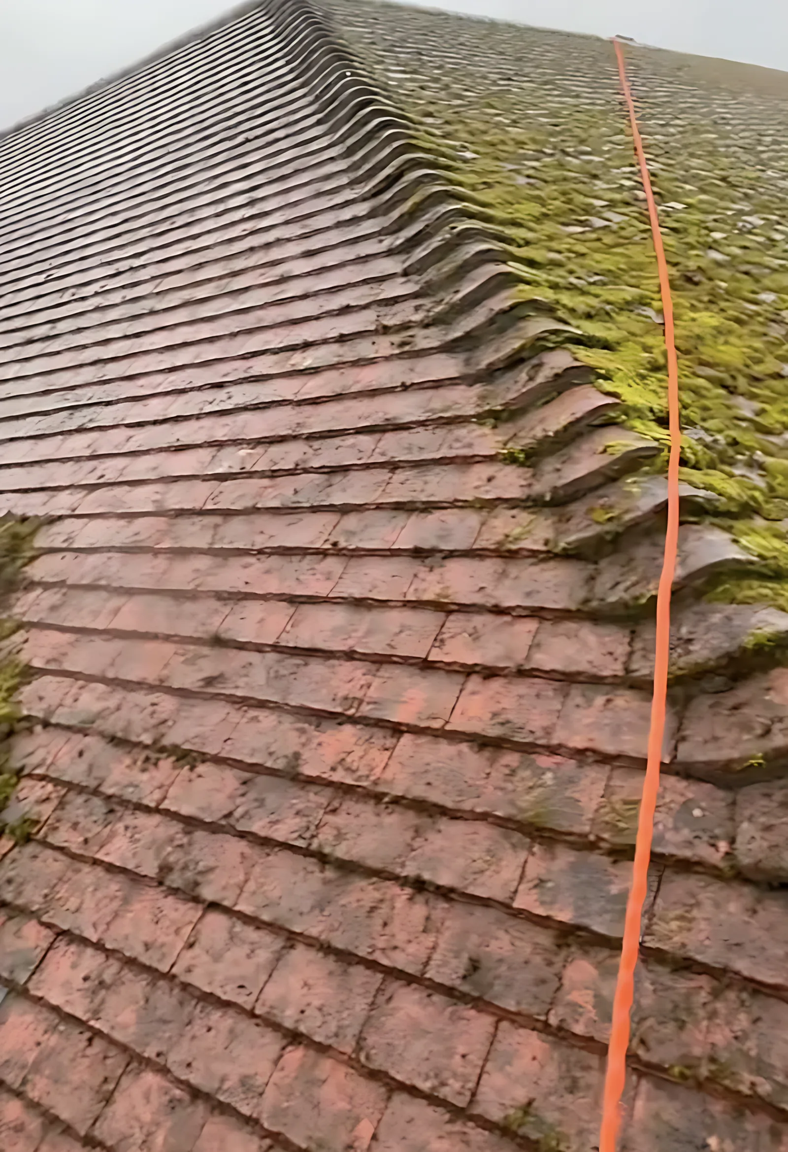 Roof half cleaned with moss removed down to the gutter