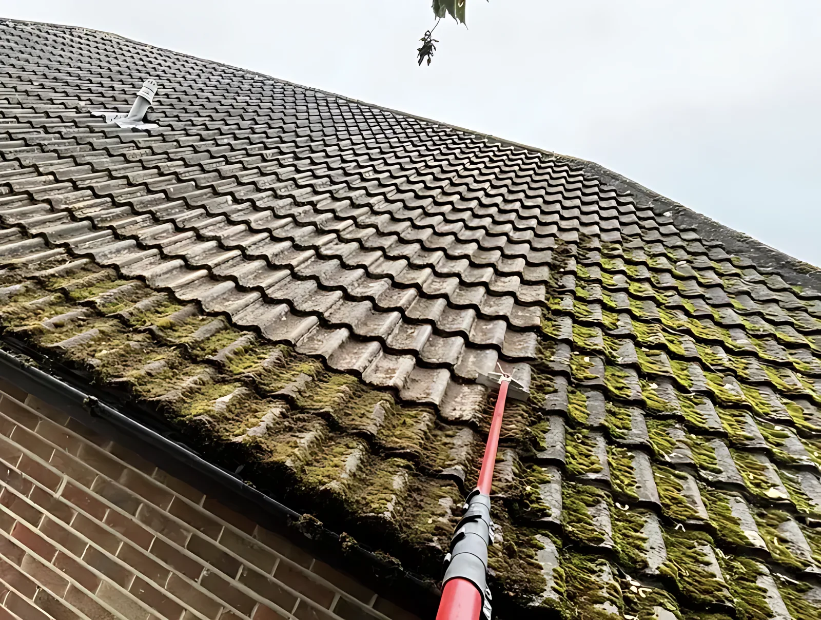 Roof and exterior cleaning in Brighton & Hove