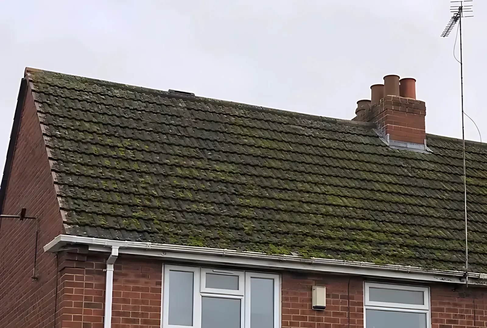 Worthing semi detached roof with moss