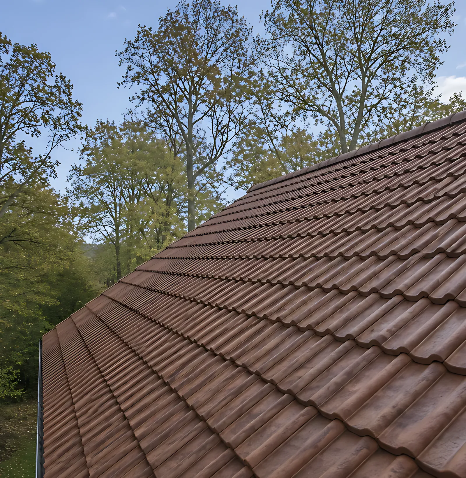 Clay tiled roof after cleaning
