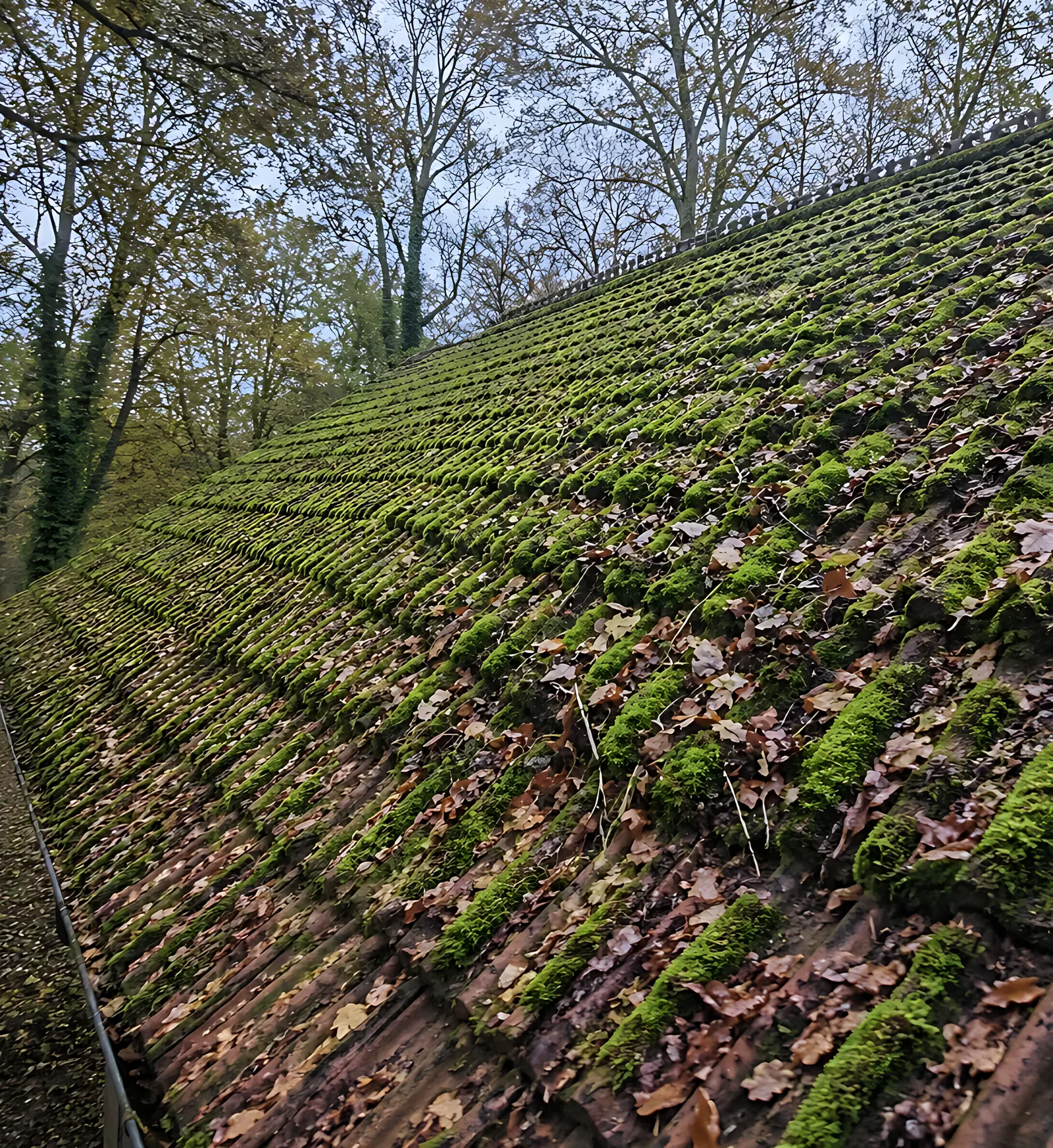 Clay tiled roof before cleaning