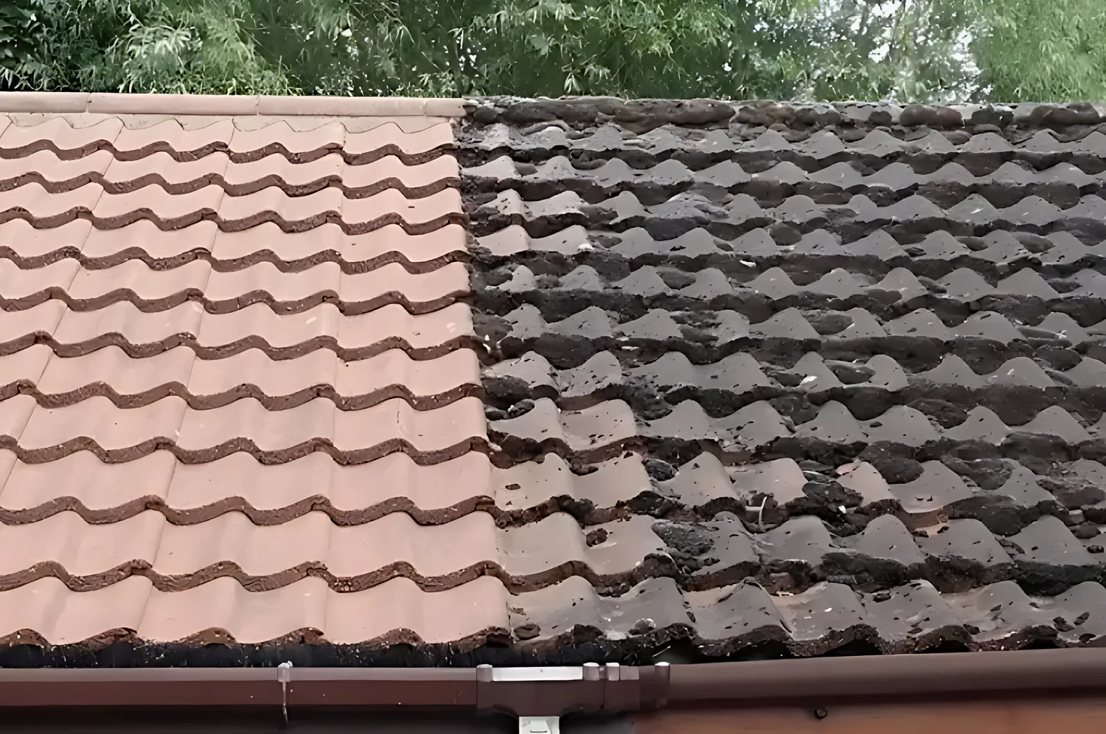 Roof and exterior cleaning in Farnham
